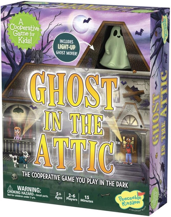 Ghost in the Attic