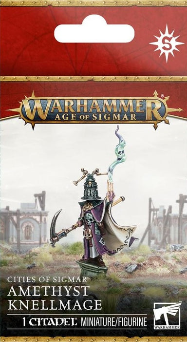 Warhammer Age Of Sigmar Cities of Sigmar Amethyst Knellmage