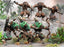 Kings of War Xirkaali Plainstalker/Wildfangs Regiment (4th Ed)