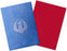 Dragon Shield Sleeves Matte Dual Art MTG Guildpact Series Izzet League