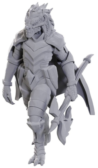 D&D Nolzur's Marvelous Miniatures: Dragonborn of Tiamat