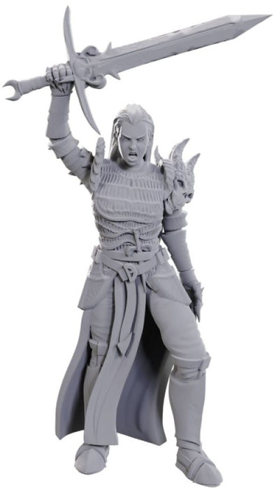 D&D Nolzur's Marvelous Miniatures Blackguard