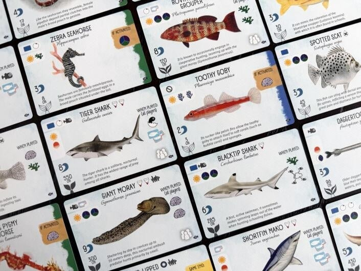 Finspan Sharks & Reefs Expansion