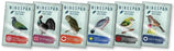 Wingspan Fan Designed Pack Retailer Display Set 1