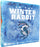 Winter Rabbit