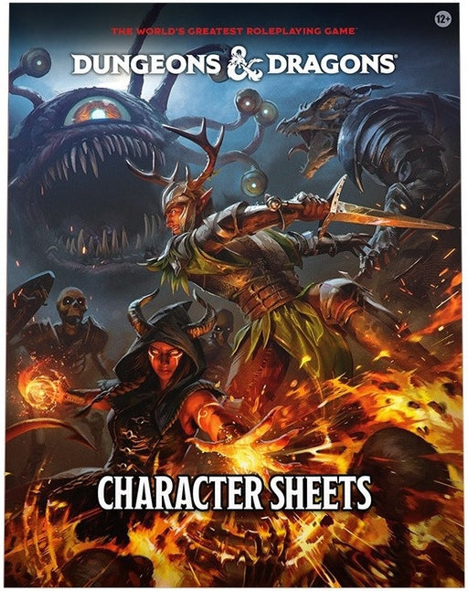 D&D Dungeons & Dragons Character Sheets 2024