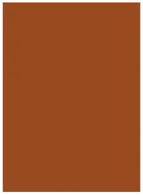 Solid Brown Sleeves (50)