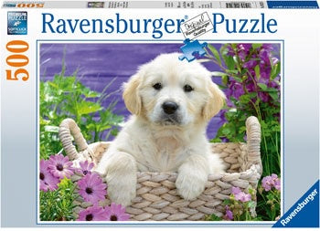 Sweet Golden Retriever Puzzle 500 piece Jigsaw Puzzle