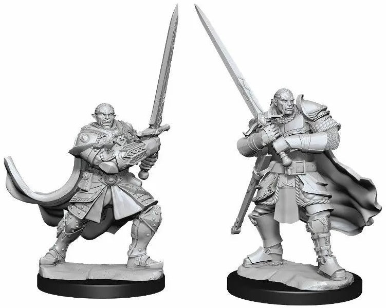 D&D Nolzurs Marvelous Unpainted Miniatures Half-Orc Paladin Male