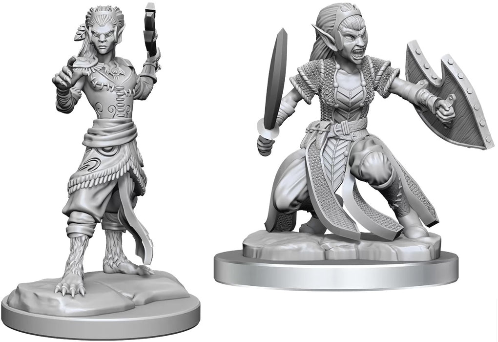 D&D Nolzurs Marvelous Miniatures Shifter Fighter