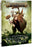 Warhammer: Battletome: Maggotkin of Nurgle ON SALE