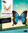 Incredibuilds Butterfly 3D Wood Model