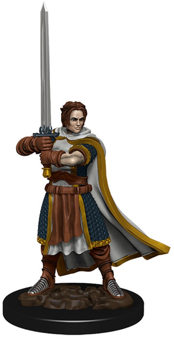 D&D Premium Painted Figures Human Cleric Male