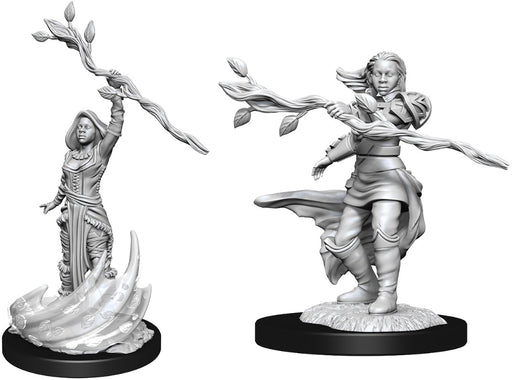 D&D Nolzurs Marvelous Unpainted Miniatures Human Druid Female ( 2 figures )